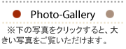 Photo-Gallery